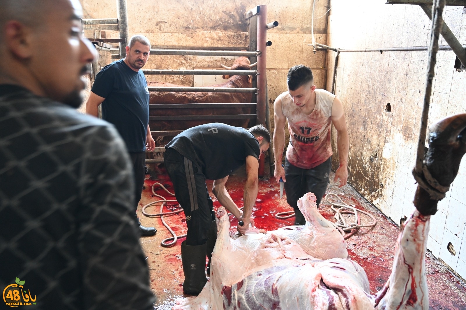 WhatsApp Image 2023-06-29 at 3.40.52 PM.jpg